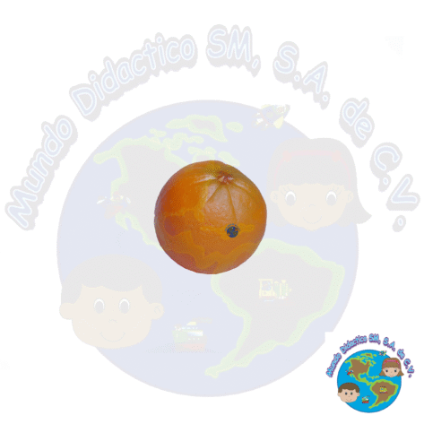 F716 Replica de Alimentos- Naranja FRUTA DE PLÁSTICO DIDÁCTICA frutas educativas, didácticas, material didáctico, juego simbólicos, juegos de compras, alimentos de juguete, frutas de plástico, frutas de vinil, preescolar, primaria, nutrición, salud, promociones, ofertas, descuentos, mejores precios, mayoreo, envíos a toda la republica, mundo didáctico, centro histórico cdmx, neza.