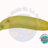 F720 Replica de Alimentos- Plátano FRUTA DE PLÁSTICO DIDÁCTICA frutas educativas, didácticas, material didáctico, juego simbólicos, juegos de compras, alimentos de juguete, frutas de plástico, frutas de vinil, preescolar, primaria, nutrición, salud, promociones, ofertas, descuentos, mejores precios, mayoreo, envíos a toda la republica, mundo didáctico, centro histórico cdmx, neza.